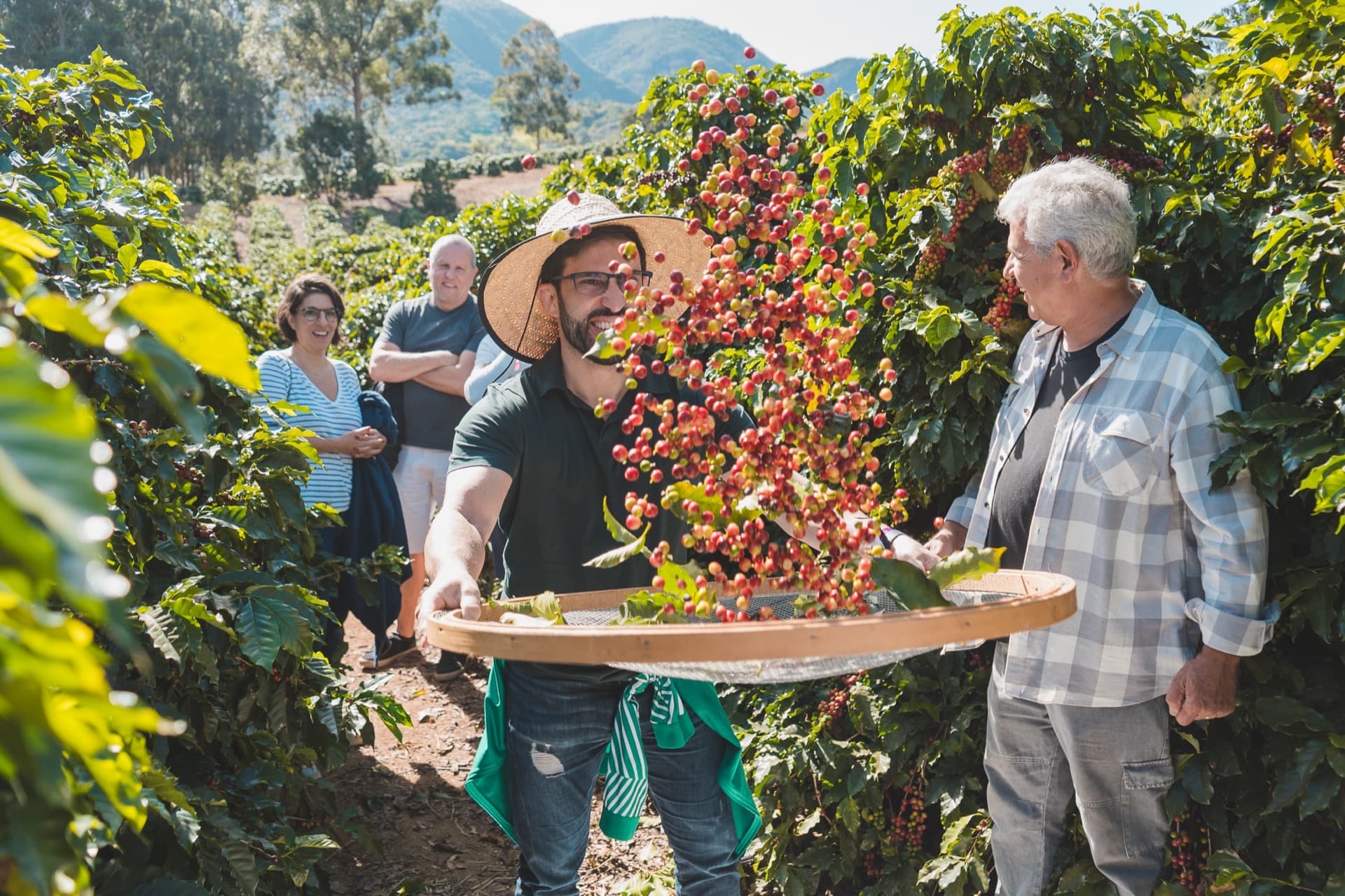 Experiência imersiva em colheita de café na fazenda